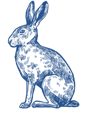 Blue Rabbit Digital